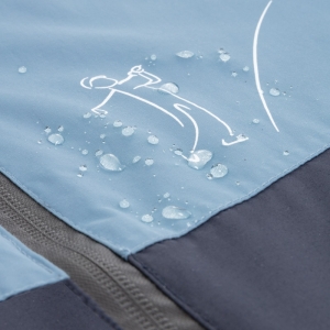 REGENJAS BLUE 