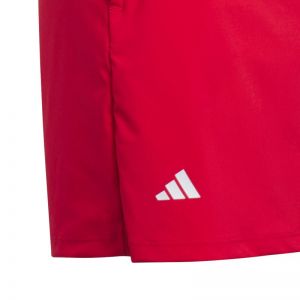 GRAPHIC SKIRT 