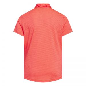 CLUB POLO 
