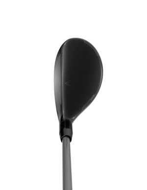 RH QUANTUM MAX FST H4 VNQSH 40 