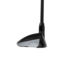 RH QUANTUM MAX FST H4 ELDI 40 