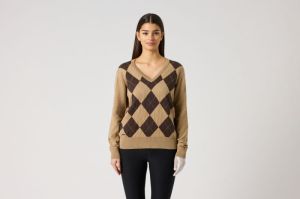 ARGYLE V NECK BRUIN